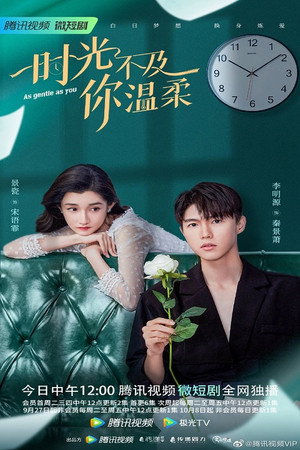 时光不及你温柔 poszter
