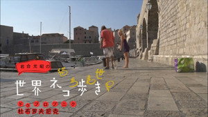 岩合光昭の世界ネコ歩き 1. évad Ep.13 13. epizód