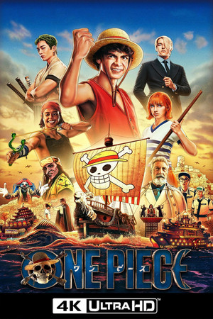 ONE PIECE poszter