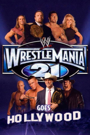 WWE Pay Per View 21. évad (2005-01-09) poszter