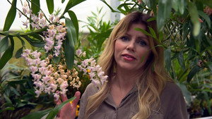 Countryfile 30. évad Ep.32 32. epizód