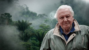 A természet furcsaságai David Attenborough-val kép