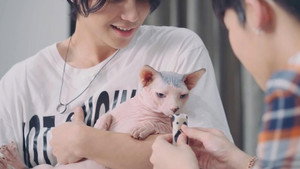 ส่วนผสมที่ลงตัว 1. évad Ep.12 12. epizód