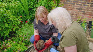 Joanna Page's Wild Life 1. évad Ep.7 7. epizód
