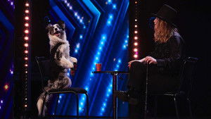 Britain's Got Talent 15. évad Ep.2 2. epizód
