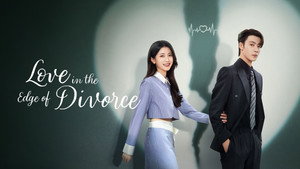 爱在离婚进行时 kép