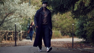 Lupin kép