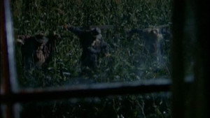 Goosebumps kép