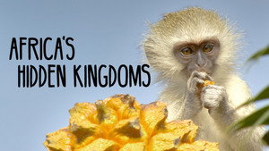 Afrika rejtett királyságai kép