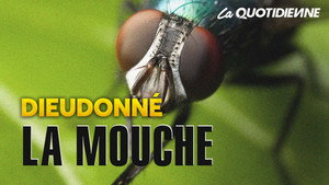 La Quotidienne 1. évad Ep.5 5. epizód
