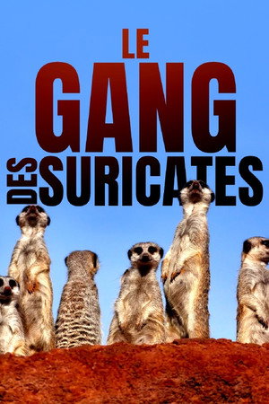 Meet The Meerkats poszter