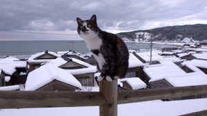A Cat's-Eye View of Japan 1. évad Ep.6 6. epizód