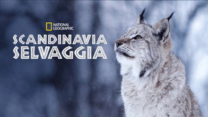 Vad Észak kép