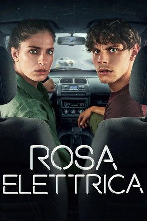 Rosa Elettrica - In fuga con il nemico poszter