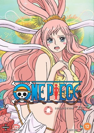 One Piece poszter