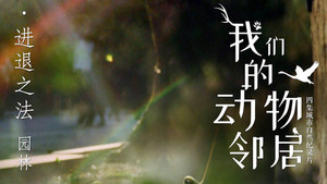 我们的动物邻居 1. évad Ep.2 2. epizód