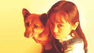 家なき子 kép