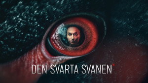 Den Sorte Svane kép
