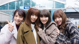 NOGIBINGO! kép