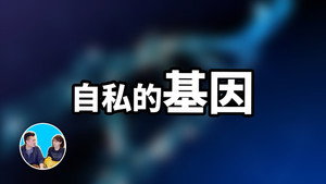 老高与小茉 Speciális epizódok Ep.265 265. epizód