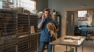 Heartland 11. évad Ep.14 14. epizód