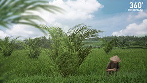 ARTE 360° Reportage kép