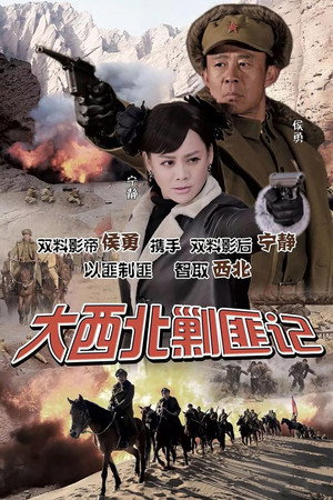 大西北剿匪记