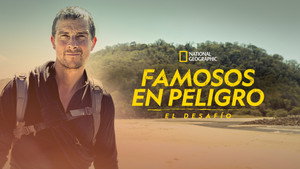 Bear Grylls - Sztárok a vadonban: A kihívás kép
