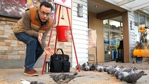 Superstore - Az agyament műszak 5. évad Ep.8 Játék Sofőr