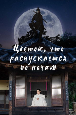 밤에 피는 꽃 poszter
