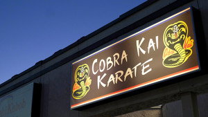 Cobra Kai kép