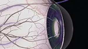 Viaggio nella scienza 1. évad Ep.5 5. epizód