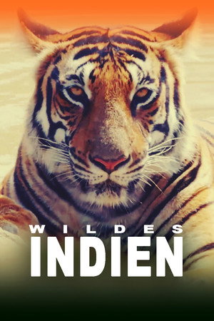 Destination Wild: India poszter