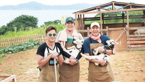 삼시세끼 어촌편 kép