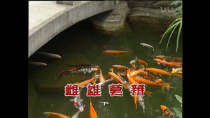 外来媳妇本地郎 4. évad Ep.1354 1354. epizód