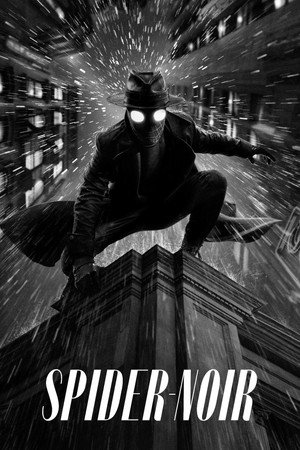 A Pók: Noir poszter