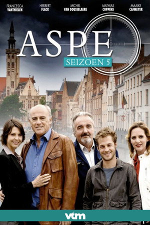 Aspe 5. évad (2009-02-23) poszter