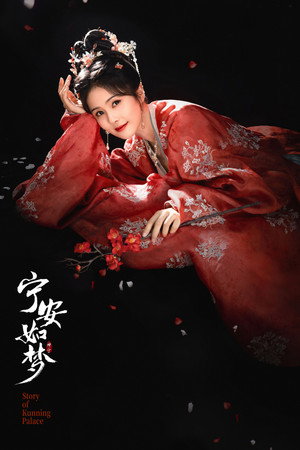 宁安如梦 poszter