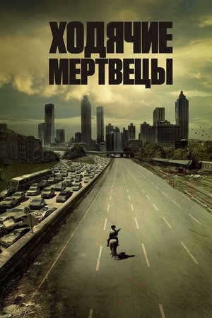 The Walking Dead poszter