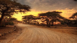 Free at Last. Unresolved Stories of Apartheid kép