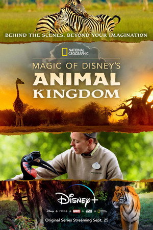 Magic of Disney's Animal Kingdom poszter