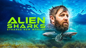 Shark Week 36. évad Ep.7 7. epizód