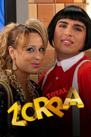 Zorra Total 10. évad (2008-01-05) poszter
