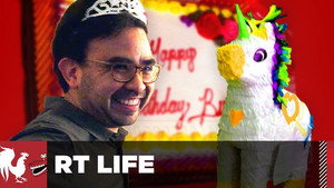 RT Life 6. évad Ep.5 5. epizód