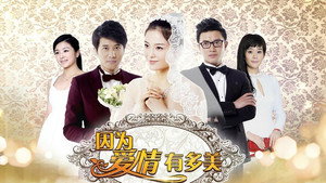 因为爱情有多美 kép