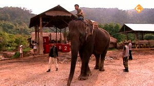 Wie is de Mol? 7. évad Ep.5 5. epizód