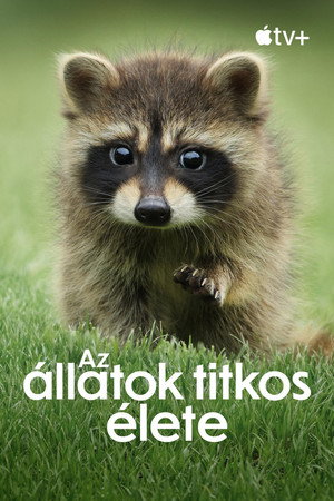 Az állatok titkos élete poszter