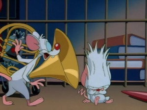 Animánia 1. évad Ep.39 Pavlovi egerek