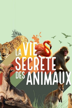 La vie secrète des animaux 1. évad (2021-10-12) poszter