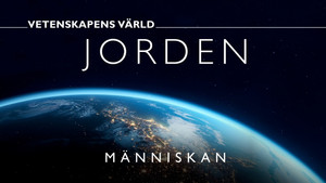 Vetenskapens värld 50. évad Ep.29 29. epizód